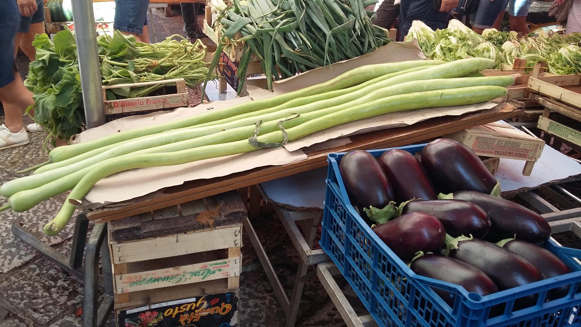 Des courgettes impressionnantes !!!