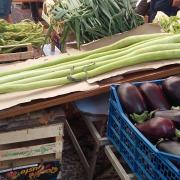 Des courgettes impressionnantes !!!