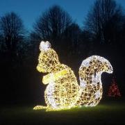 Écureuil illuminé dans les jardins