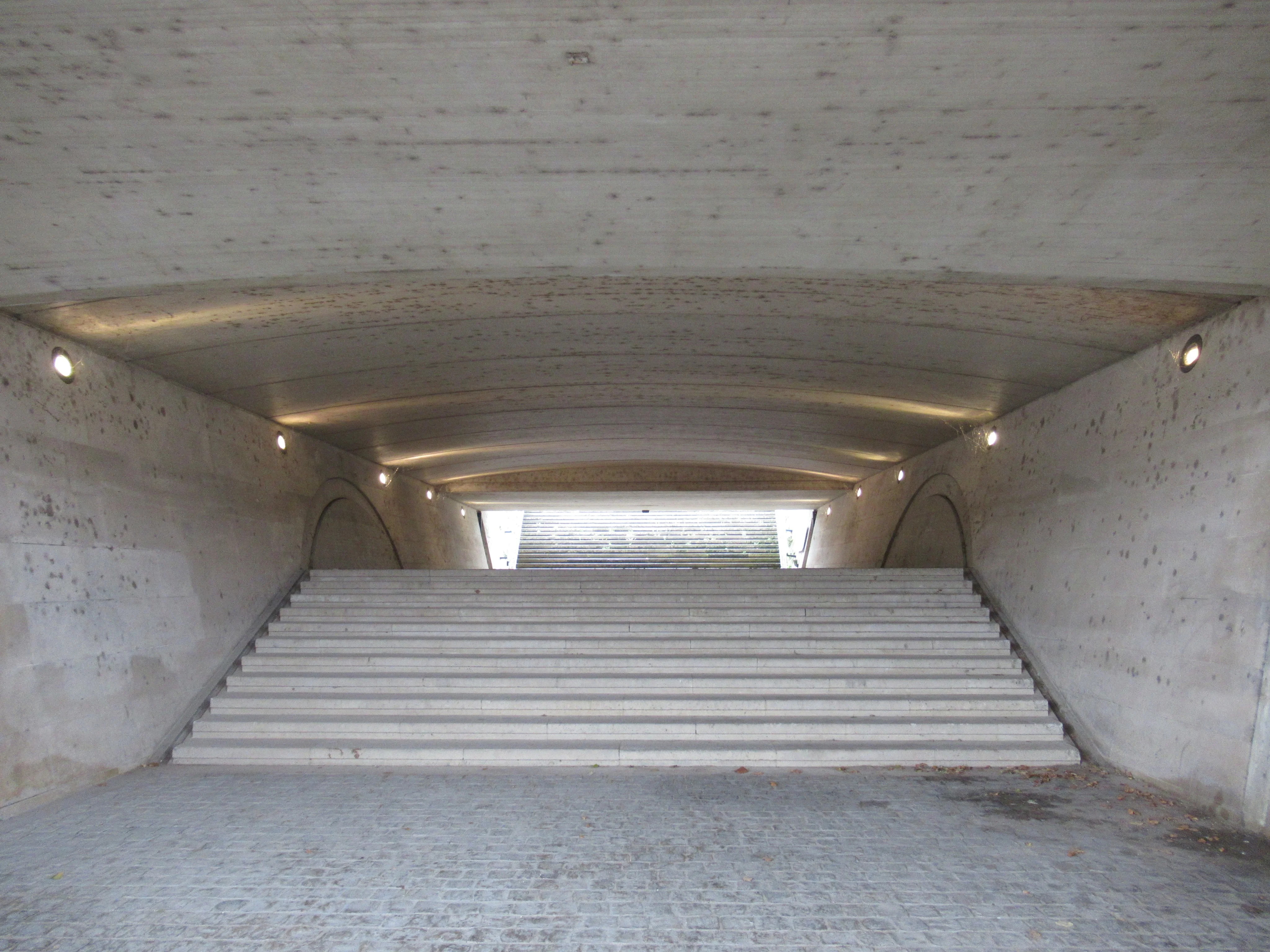 Img 0351