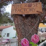 Visite de la fabrique DAROSA