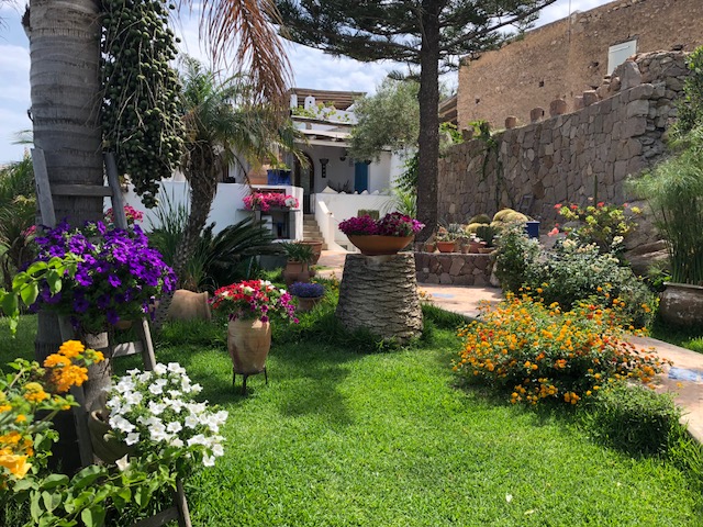 Jardin sur l'île de Panarea