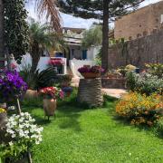 Jardin sur l'île de Panarea