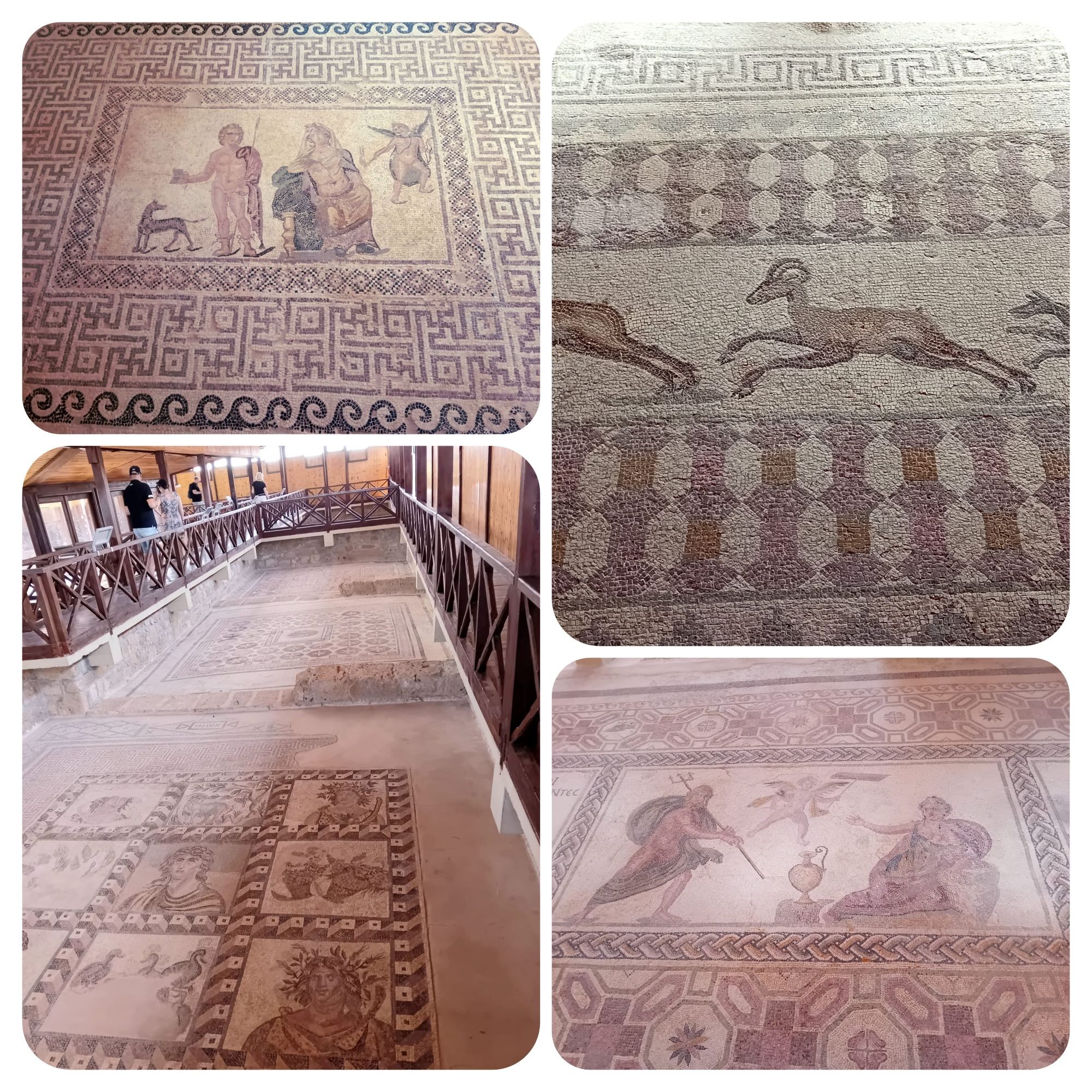 Mosaïques de la maison de Dionysos