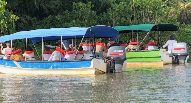 Promenade en bateau à la rencontre des singes sur le lac Gatun