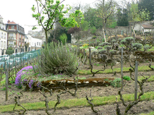 Montmartre 4